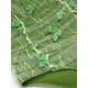 Green  3D Butterfly Mesh Swimsuit